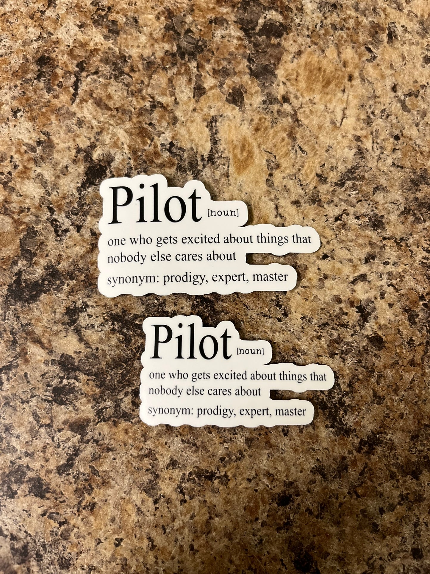 Pilot Definition Waterproof Sticker | Aviation Humor Vinyl | 2 Size Options | Laptop Yeti Stanley Cooler+