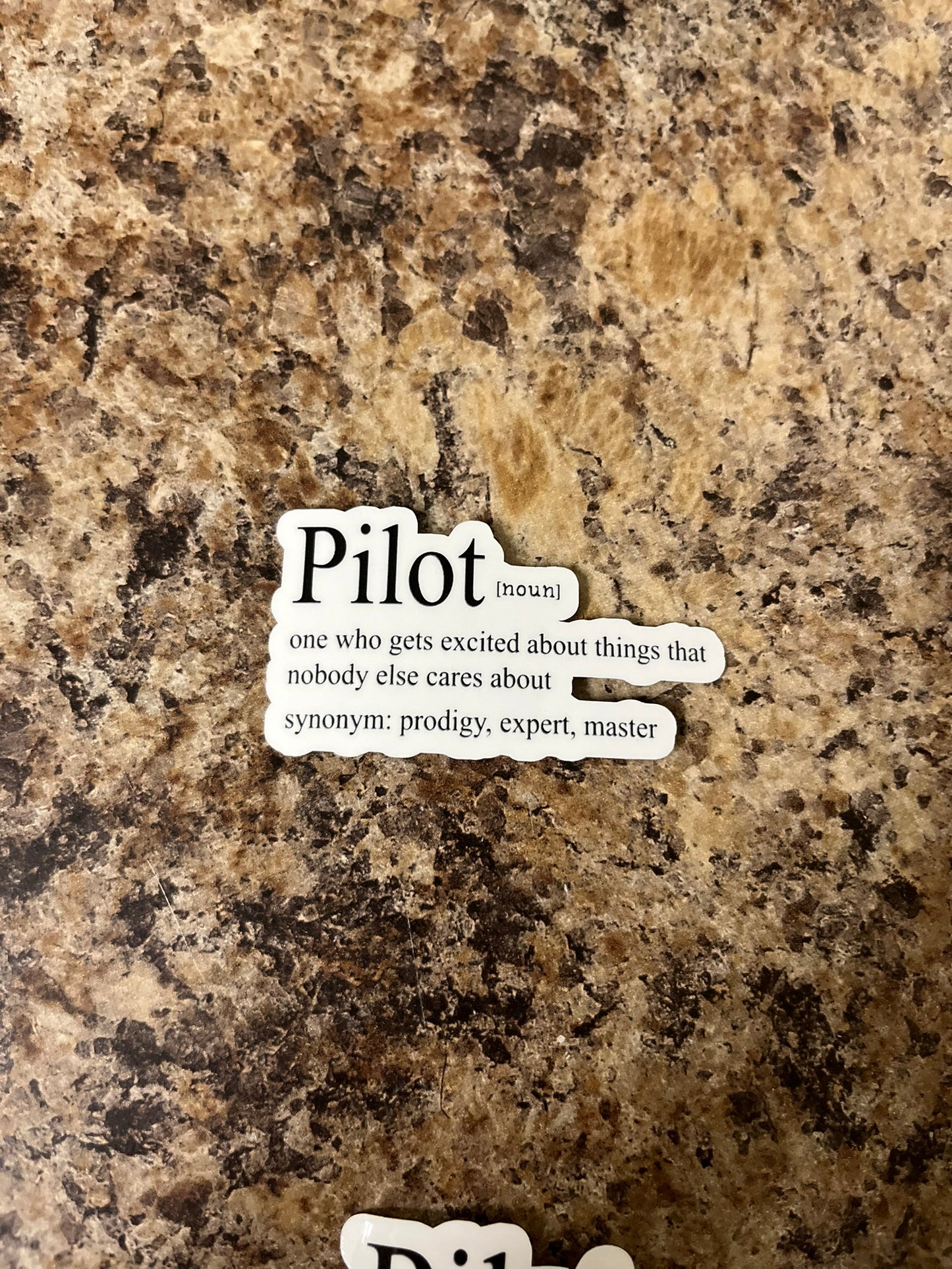 Pilot Definition Waterproof Sticker | Aviation Humor Vinyl | 2 Size Options | Laptop Yeti Stanley Cooler+