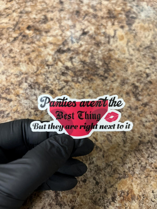 Panties Aren't The Best Thing Sticker | Adult Underwear Humor Art | NSFW Intimate Joke Decal | 2.75"x1"