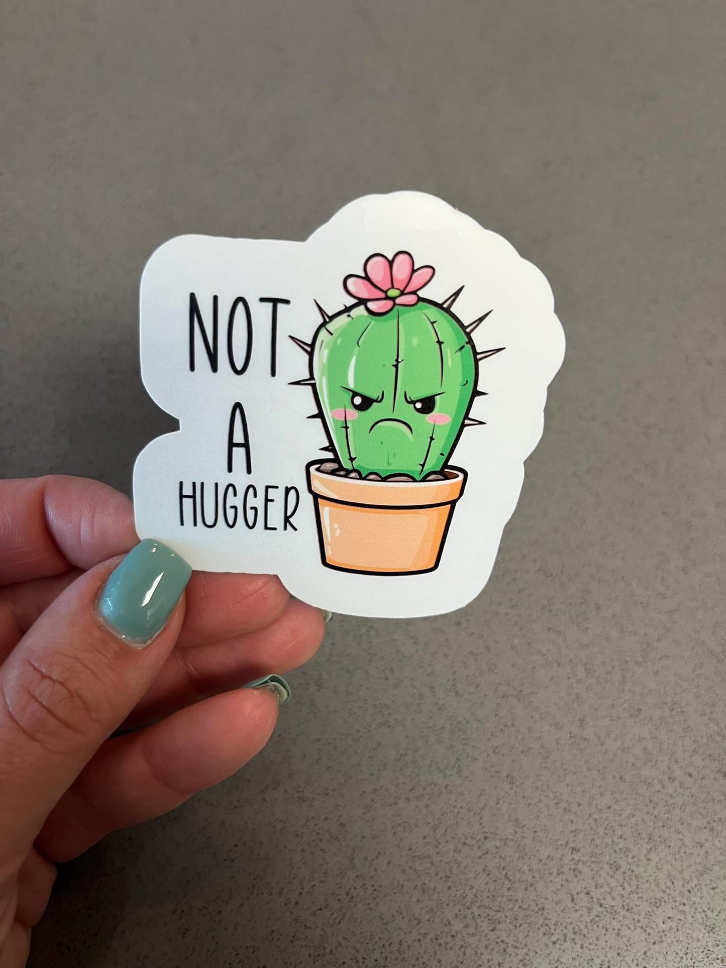 Not A Hugger Cactus Waterproof Sticker | Grumpy Plant Vinyl | 2.75"x2.25" | Laptop Yeti Stanley Cooler+